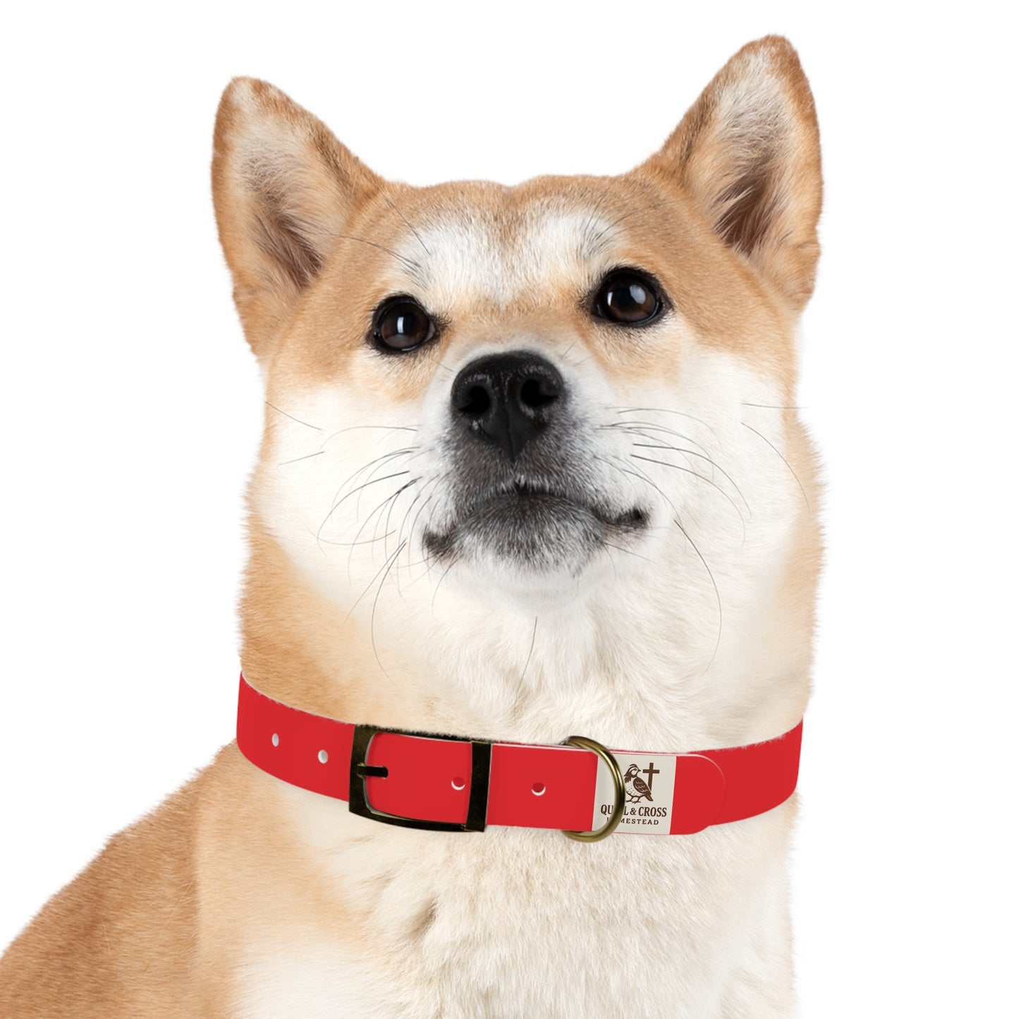 Dog Collar - Quail and Cross Homestead Quail Patrol Design