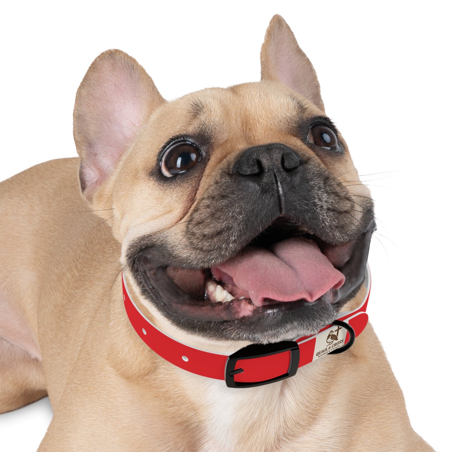 Dog Collar - Quail and Cross Homestead Quail Patrol Design