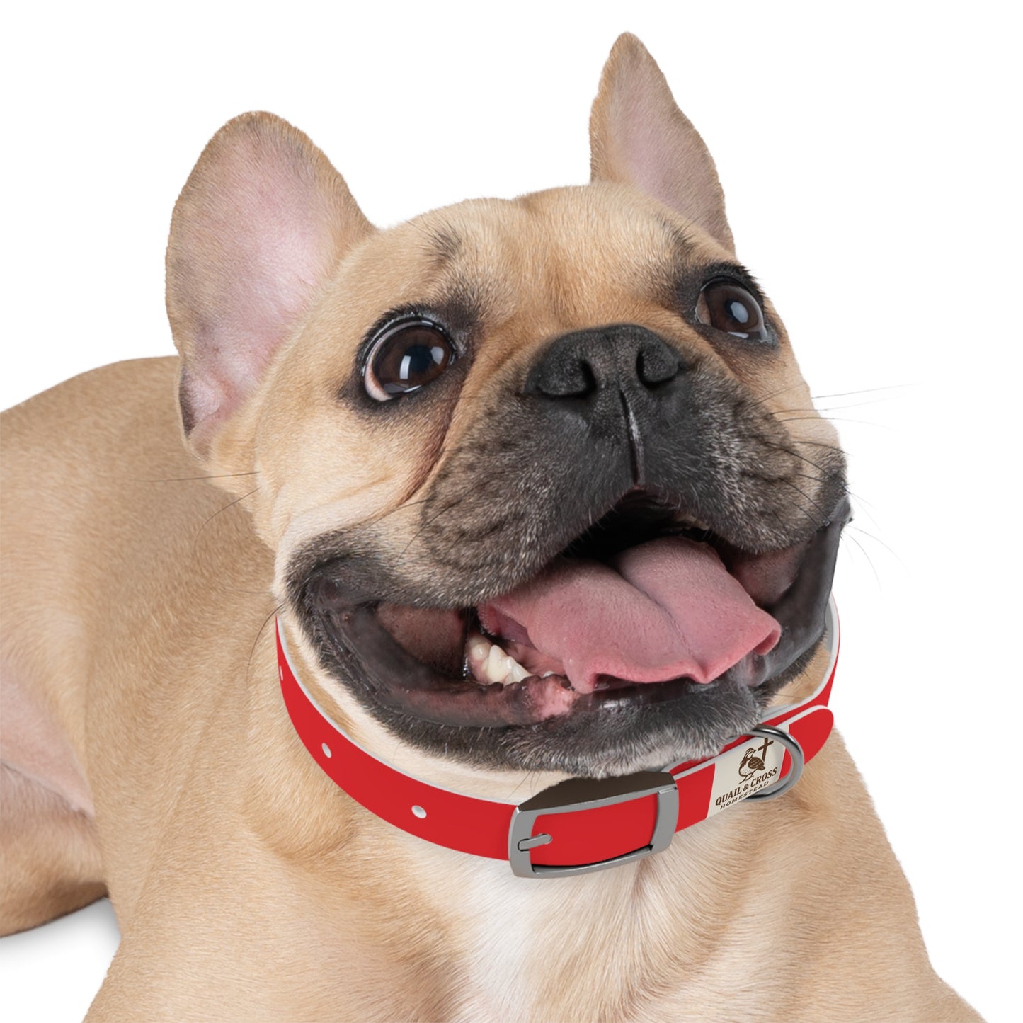 Dog Collar - Quail and Cross Homestead Quail Patrol Design