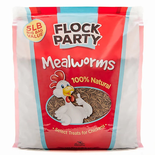Meal worms
